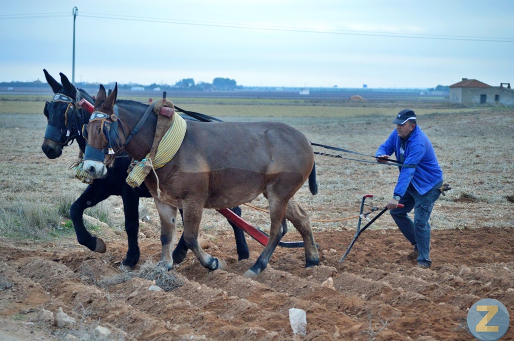 ob.imagen.Descripcion