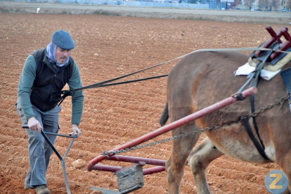 ob.imagen.Descripcion