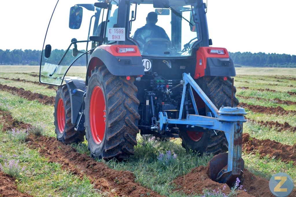 ob.imagen.Descripcion