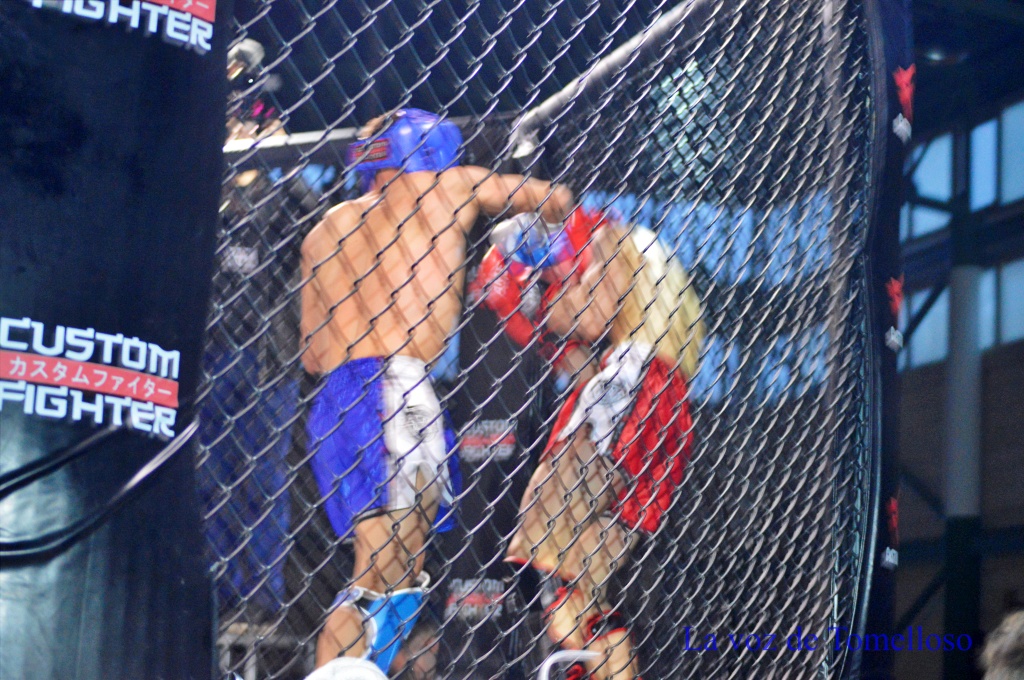 ob.imagen.Descripcion