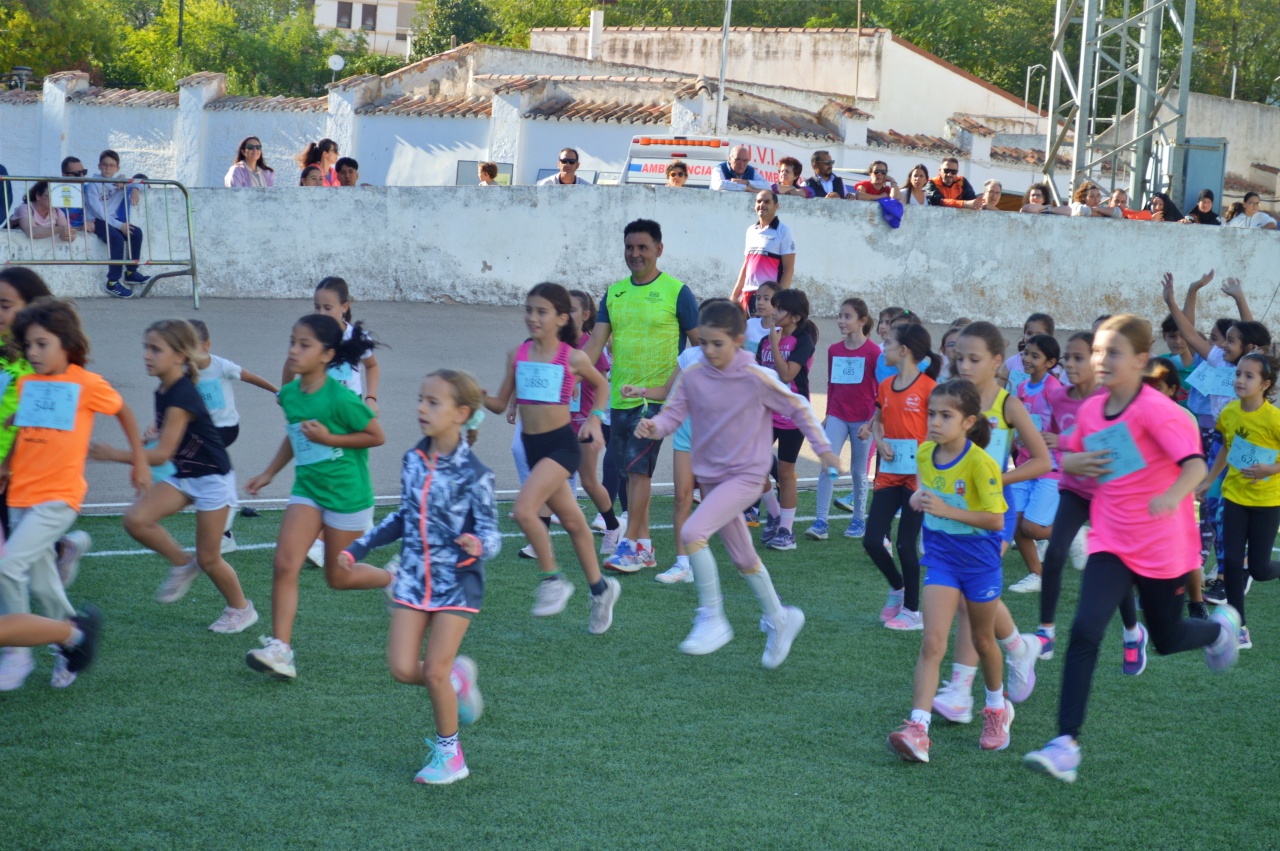 ob.imagen.Descripcion