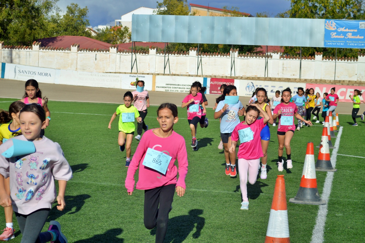 ob.imagen.Descripcion