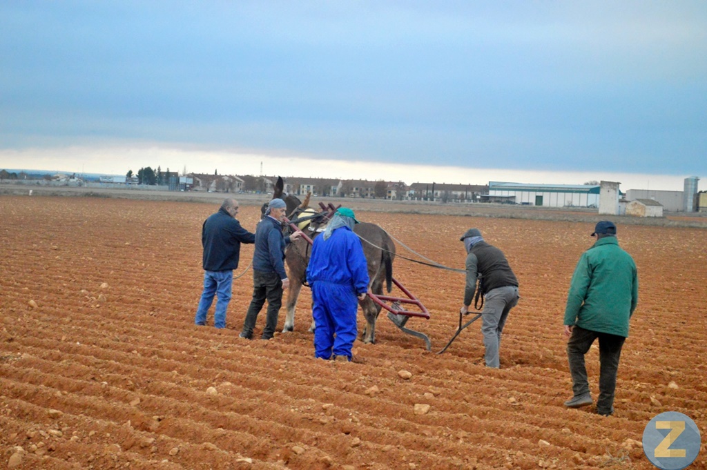 ob.imagen.Descripcion