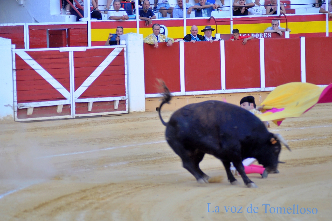 ob.imagen.Descripcion