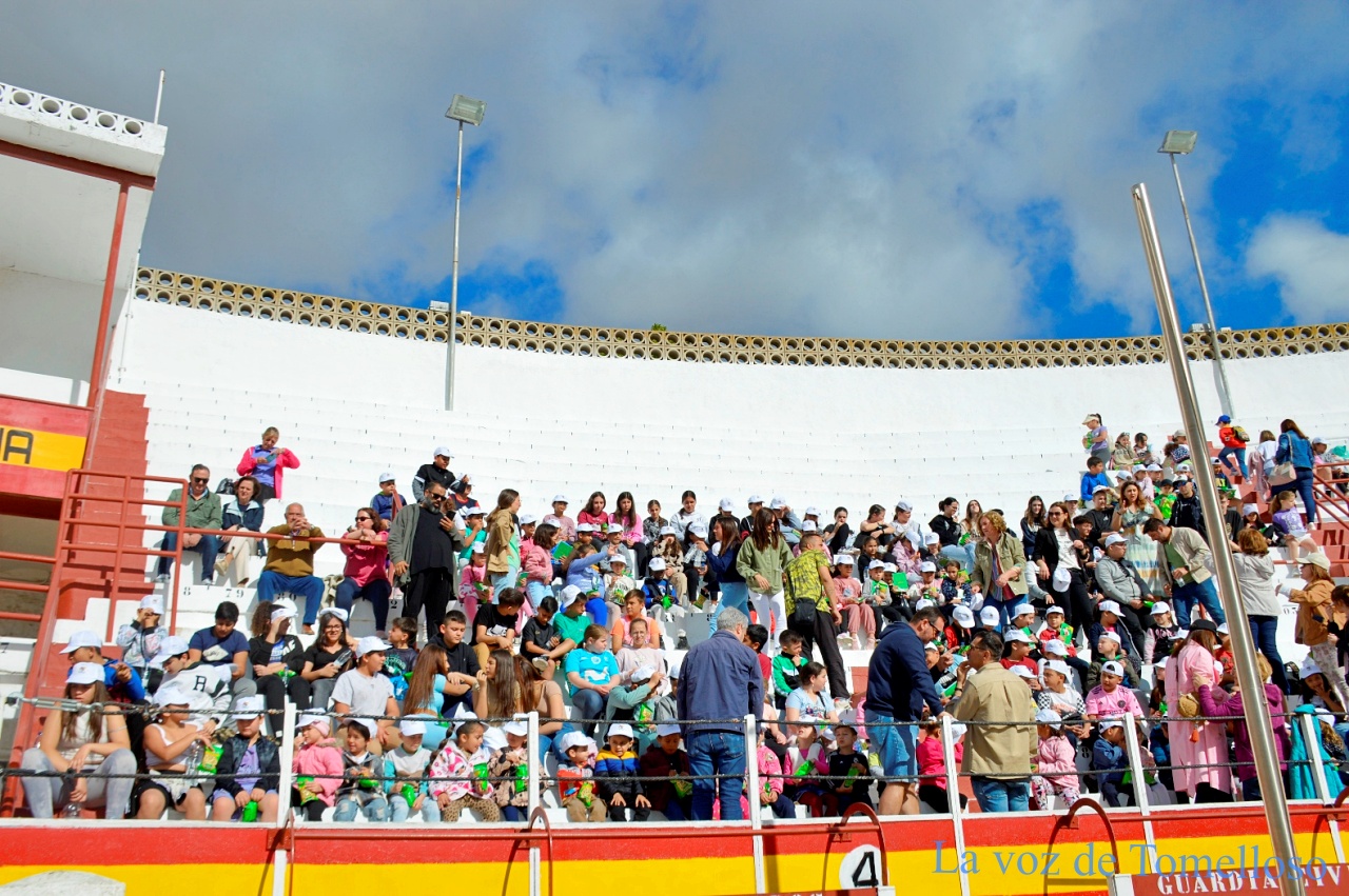 ob.imagen.Descripcion