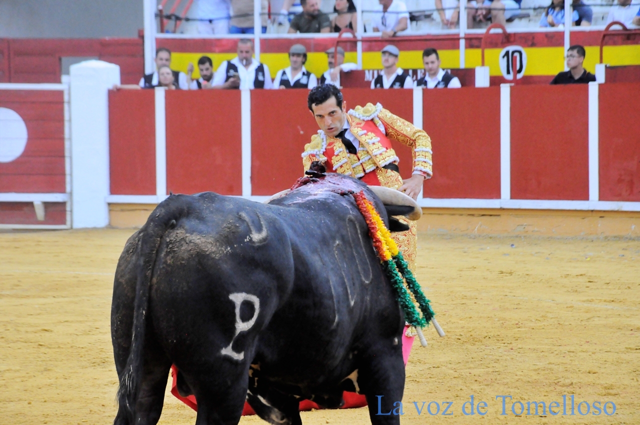 ob.imagen.Descripcion