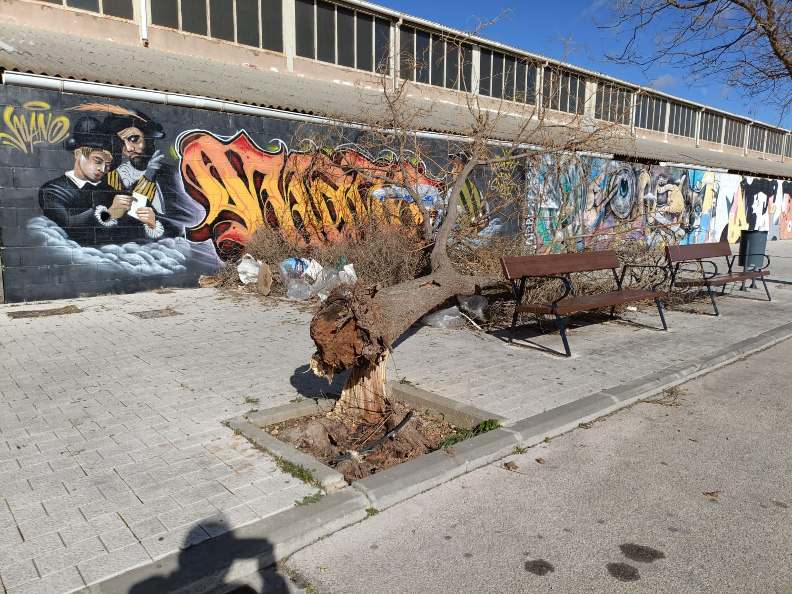 ob.imagen.Descripcion