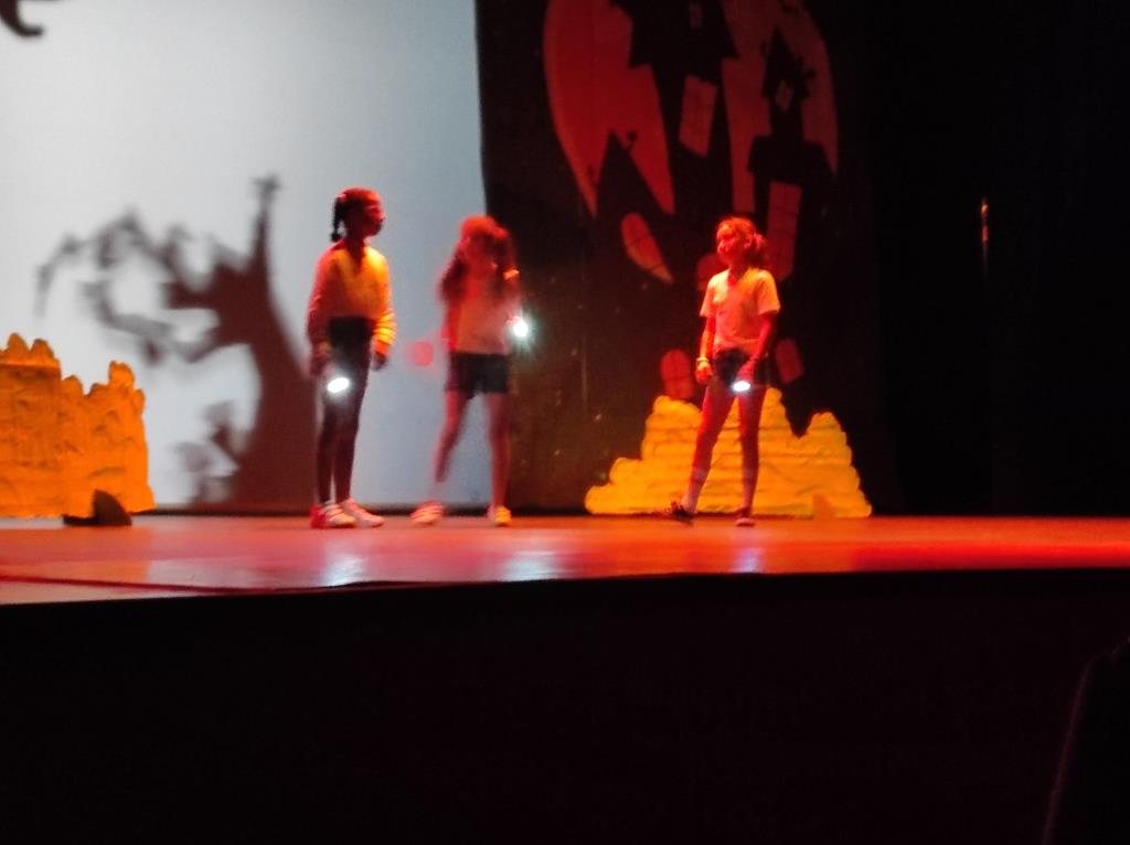 ob.imagen.Descripcion