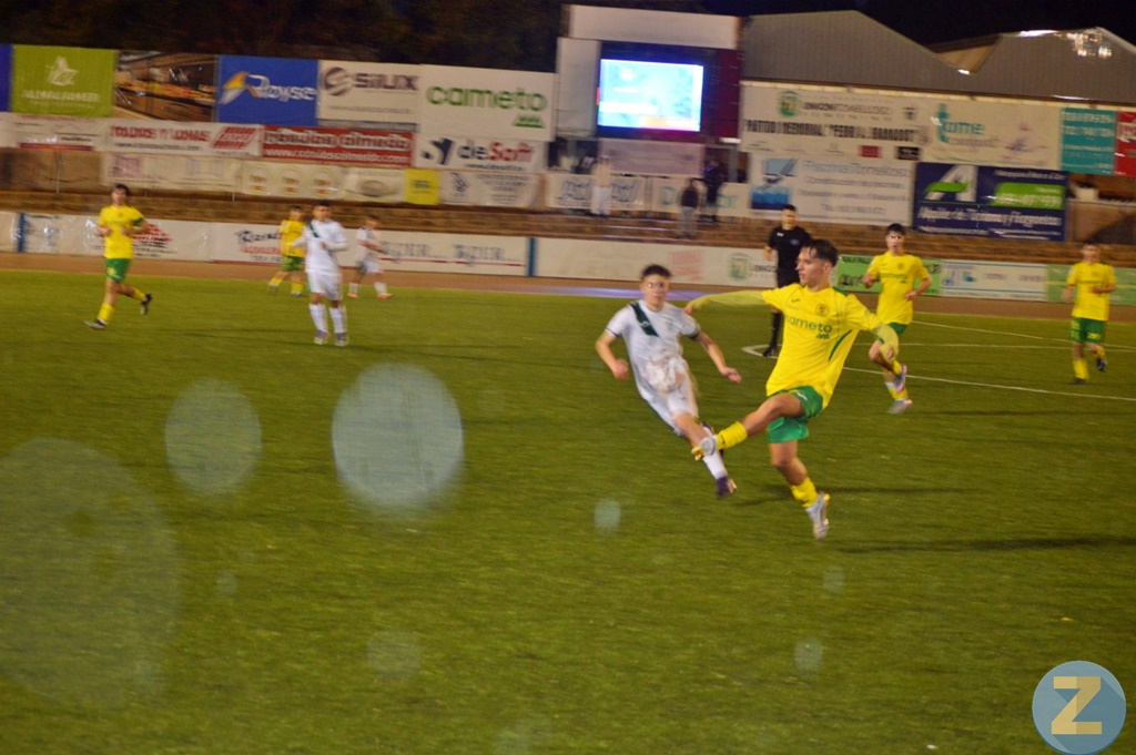 ob.imagen.Descripcion