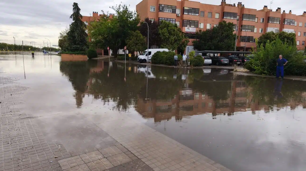 ob.imagen.Descripcion