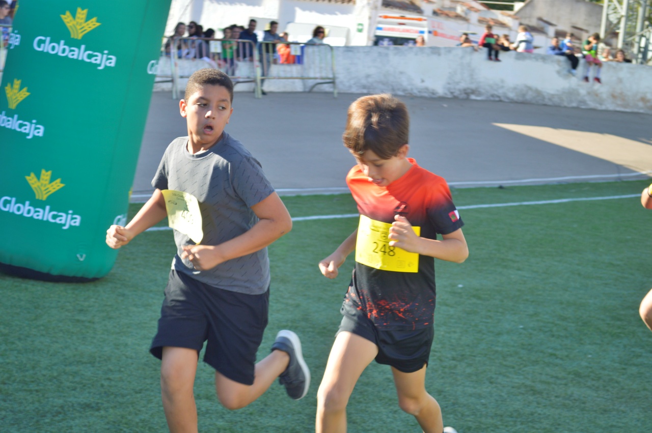 ob.imagen.Descripcion