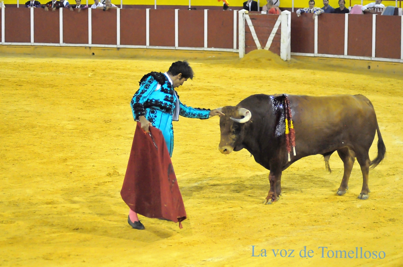 ob.imagen.Descripcion