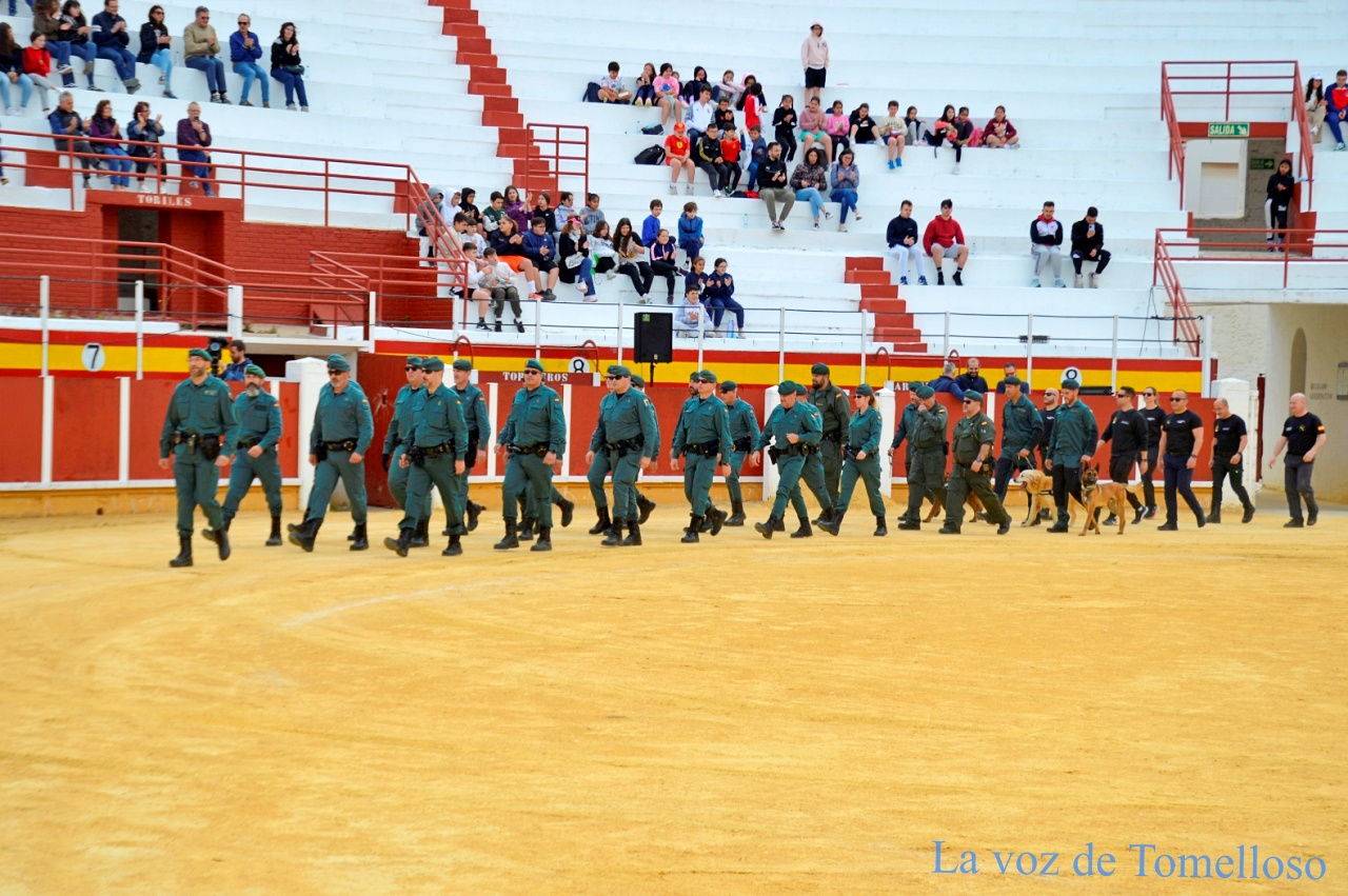 ob.imagen.Descripcion