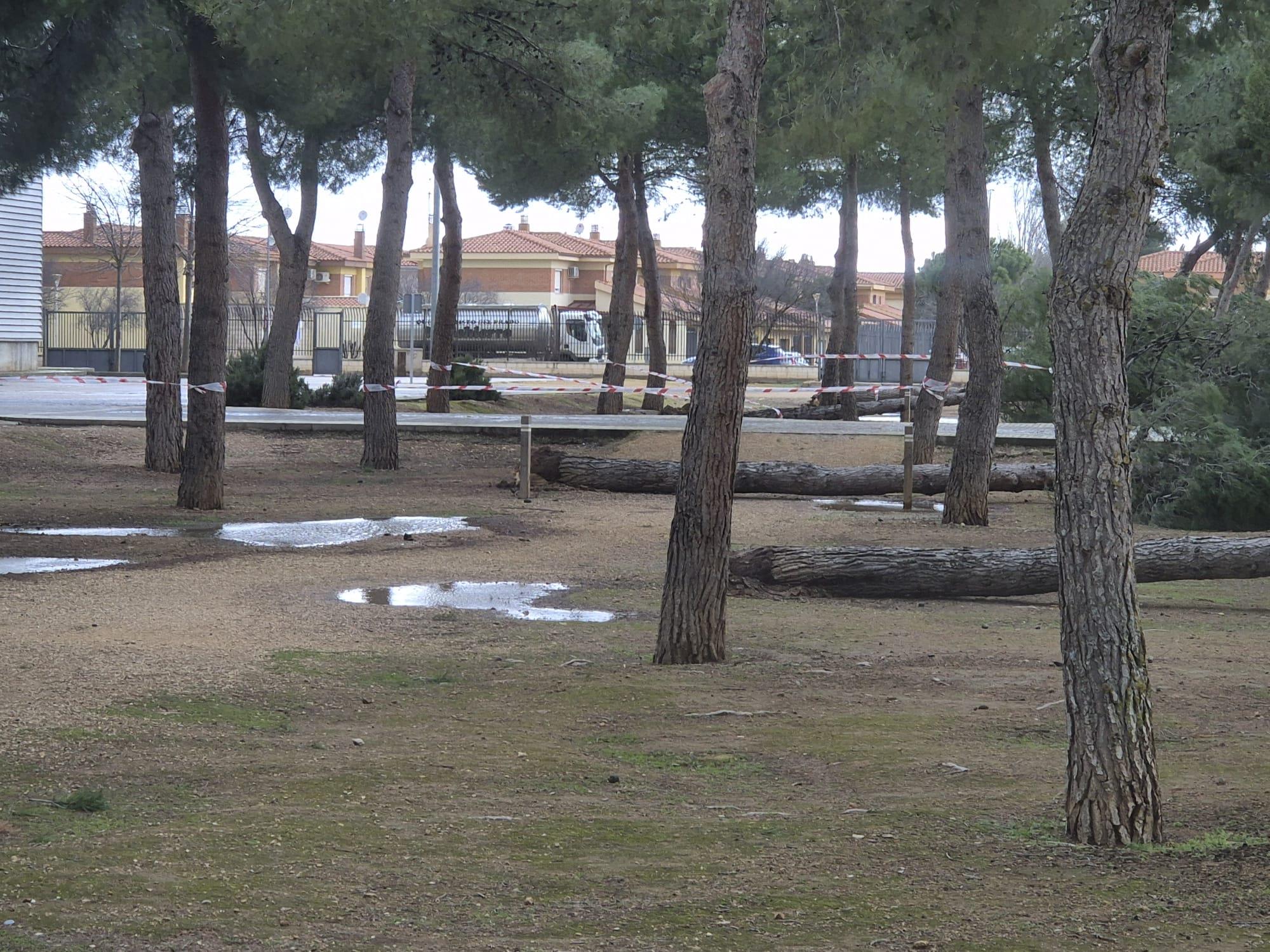 ob.imagen.Descripcion