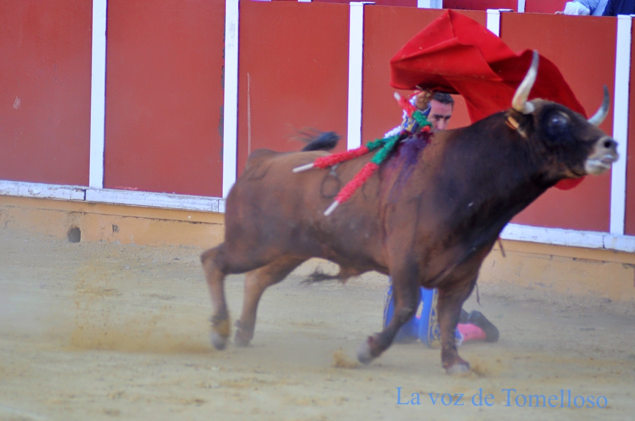 ob.imagen.Descripcion