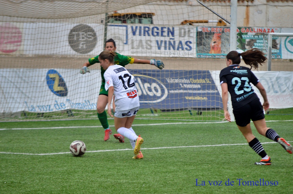 ob.imagen.Descripcion