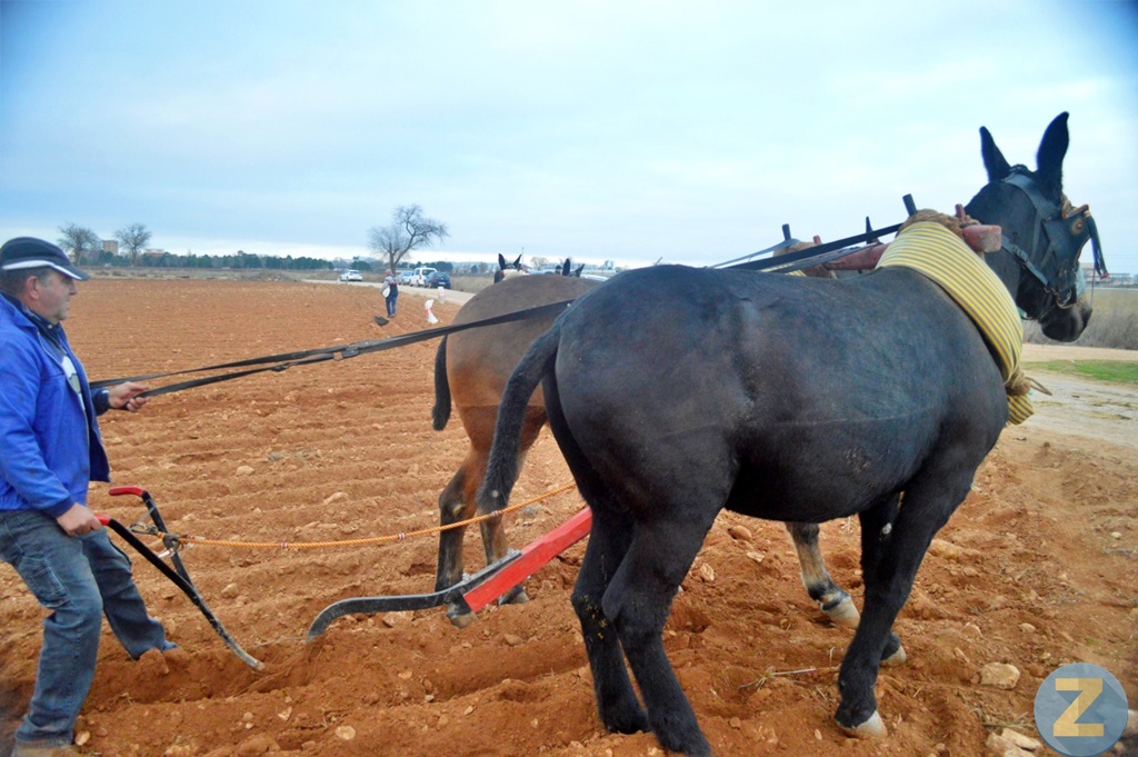 ob.imagen.Descripcion