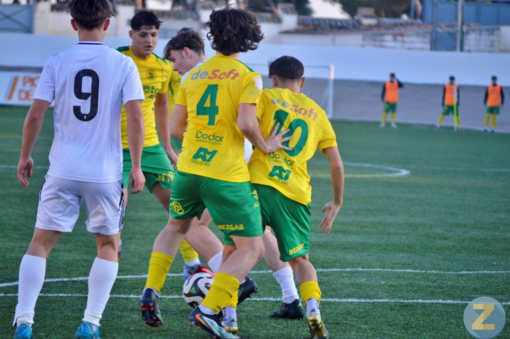 ob.imagen.Descripcion