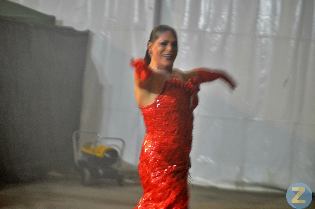 ob.imagen.Descripcion