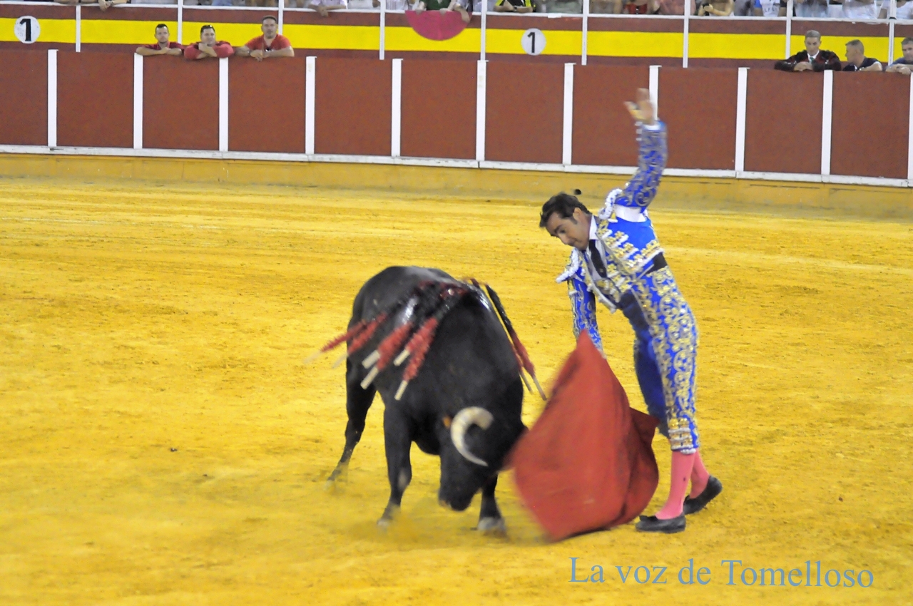 ob.imagen.Descripcion
