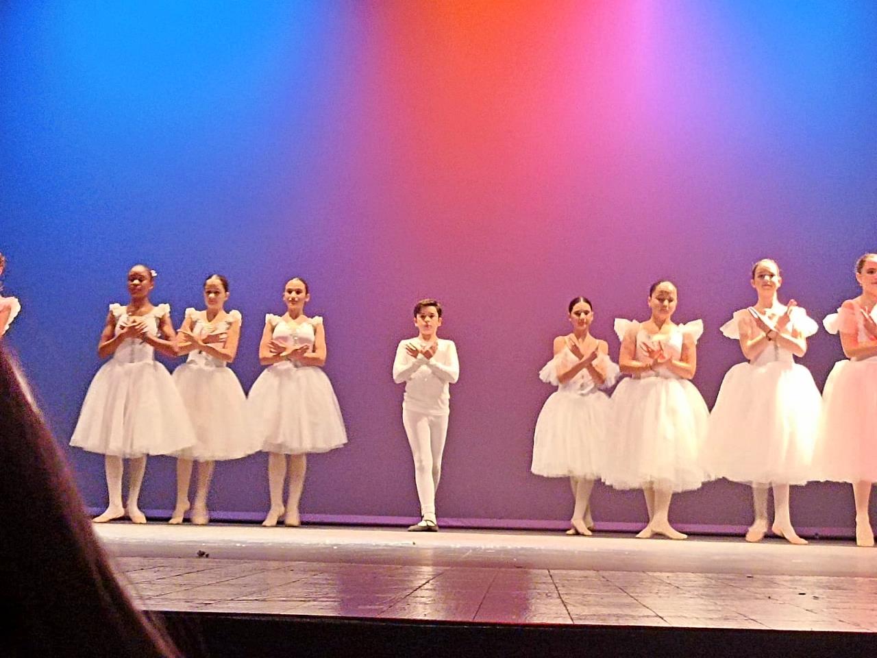 ob.imagen.Descripcion