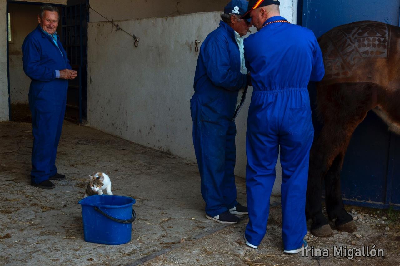 ob.imagen.Descripcion