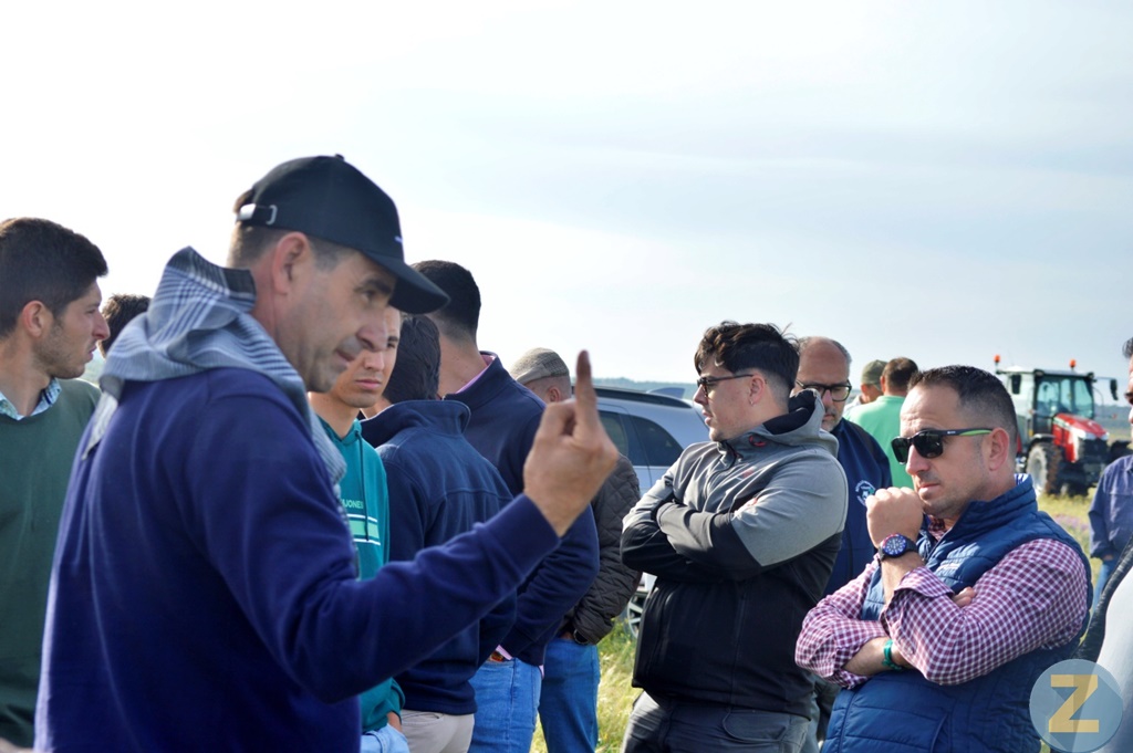 ob.imagen.Descripcion