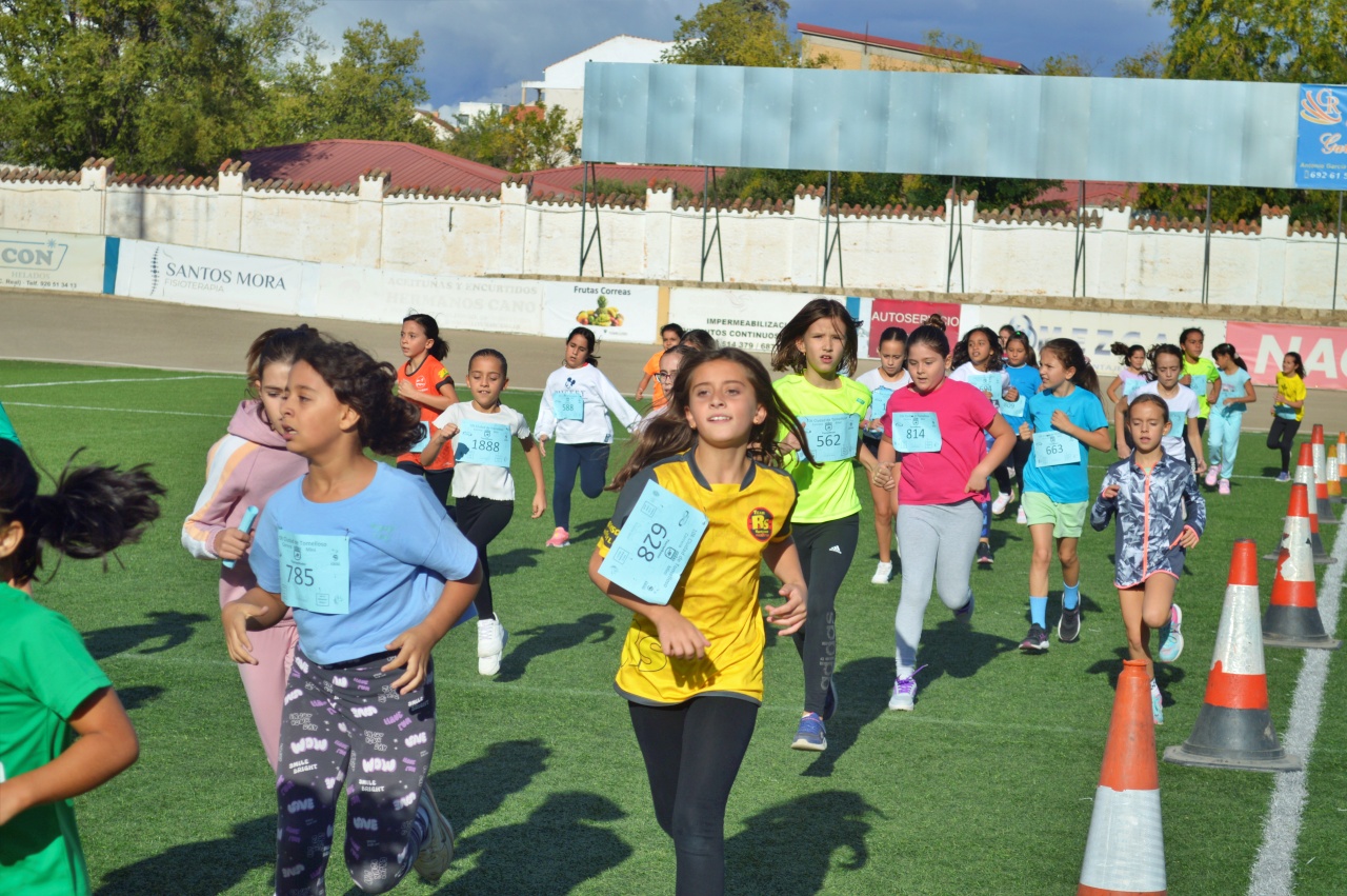 ob.imagen.Descripcion