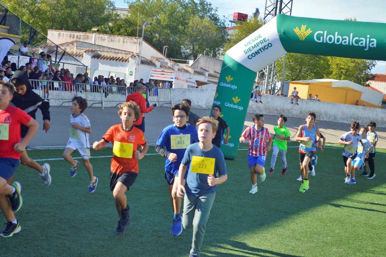 ob.imagen.Descripcion