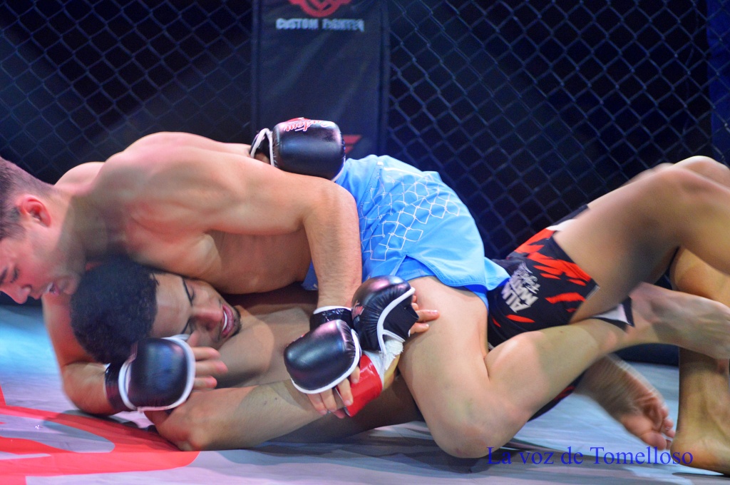 ob.imagen.Descripcion