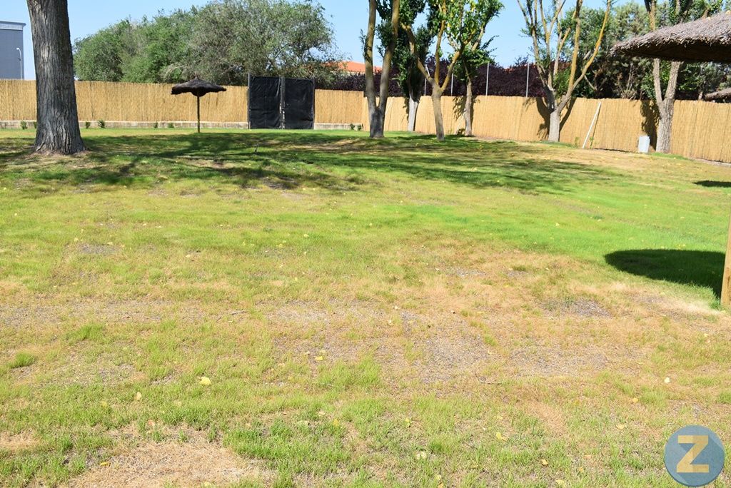 ob.imagen.Descripcion