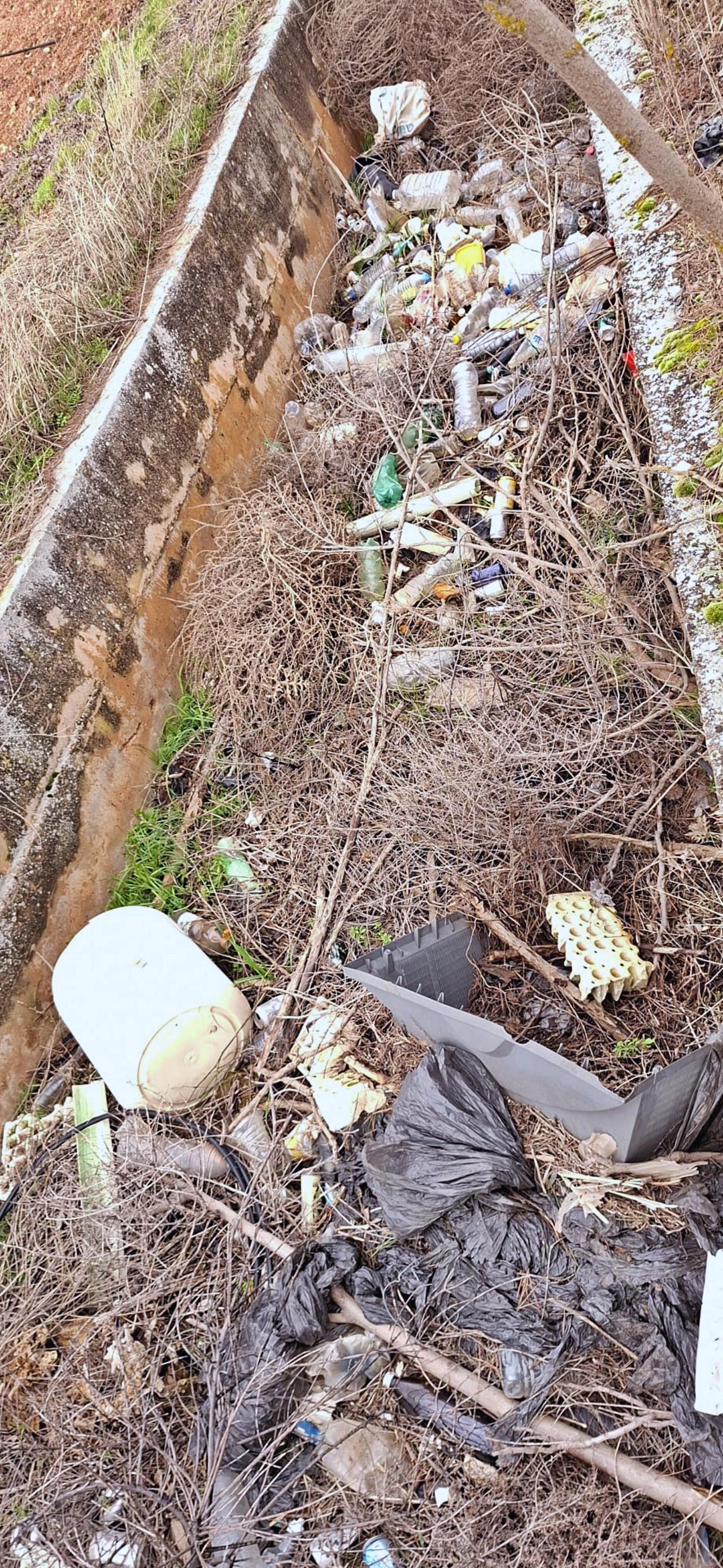 ob.imagen.Descripcion