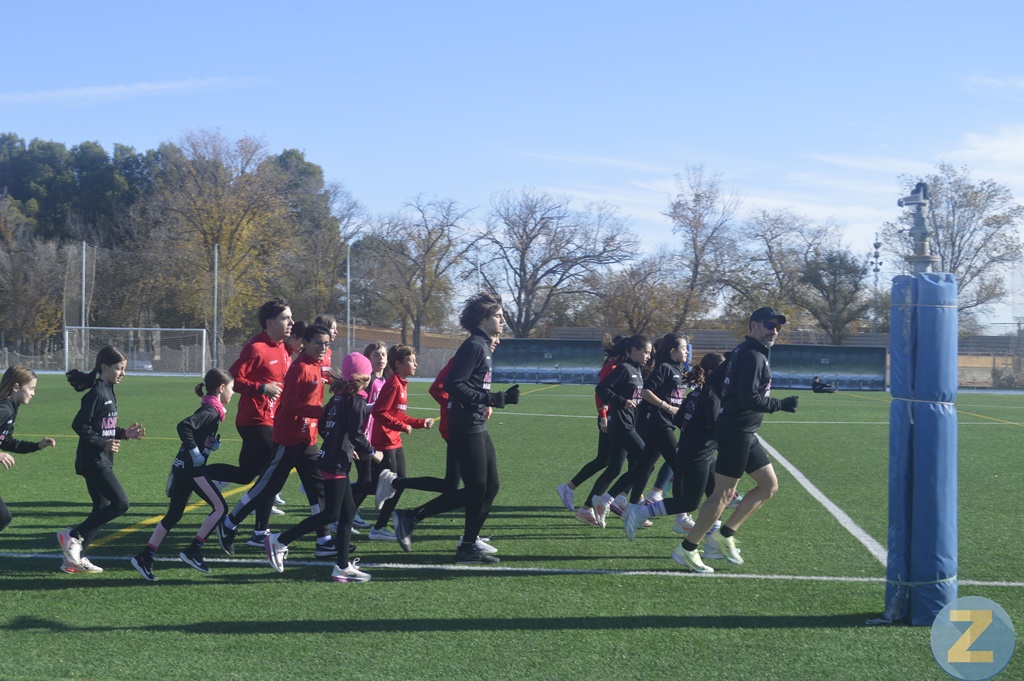 ob.imagen.Descripcion