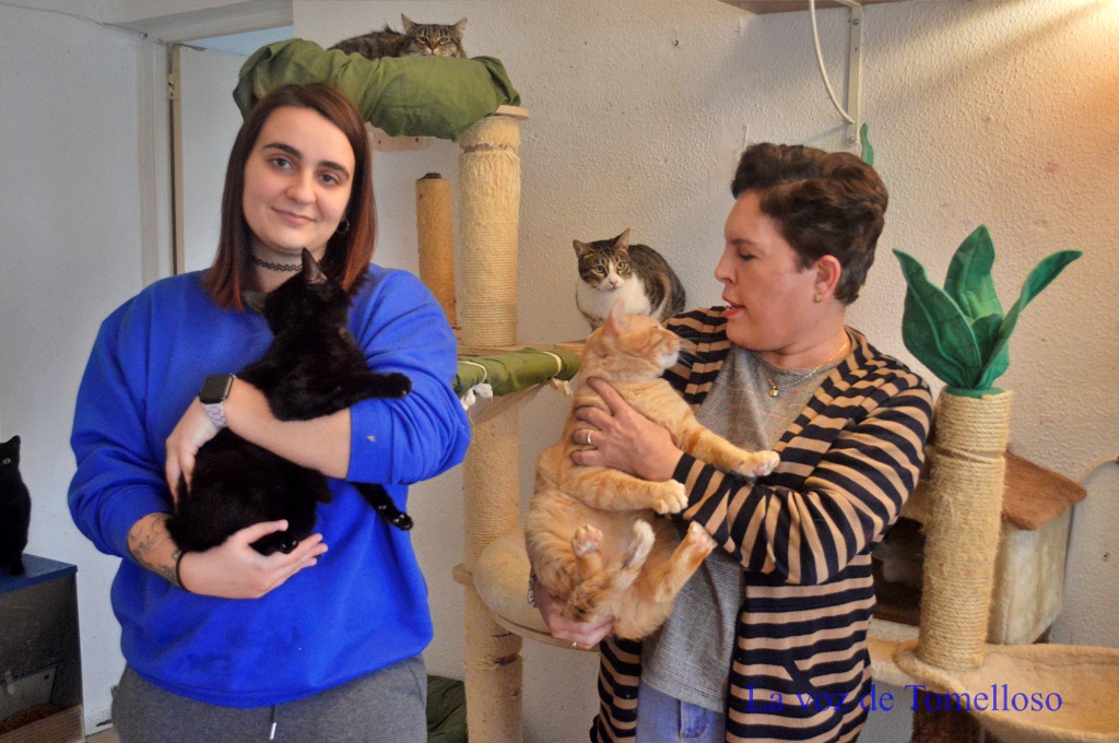 ob.imagen.Descripcion