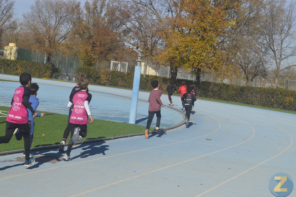 ob.imagen.Descripcion