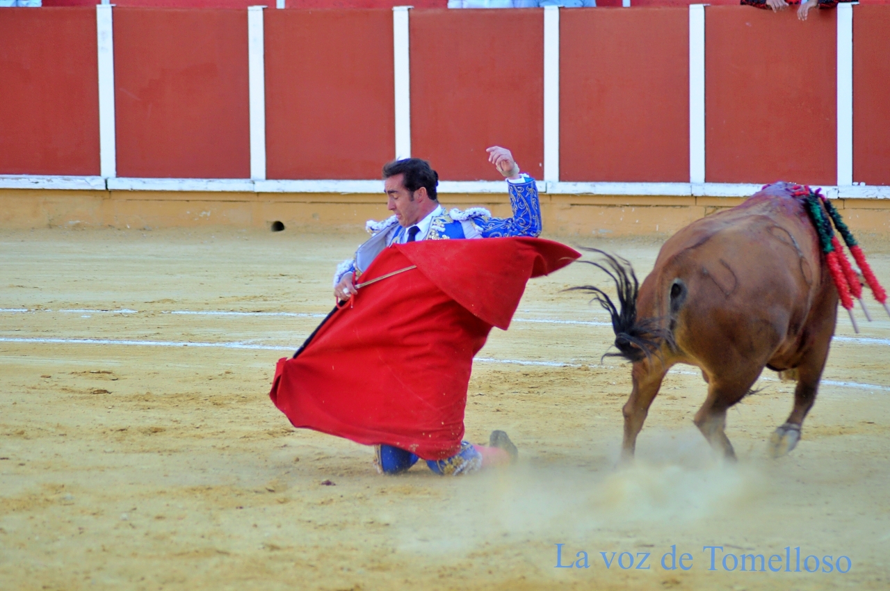 ob.imagen.Descripcion