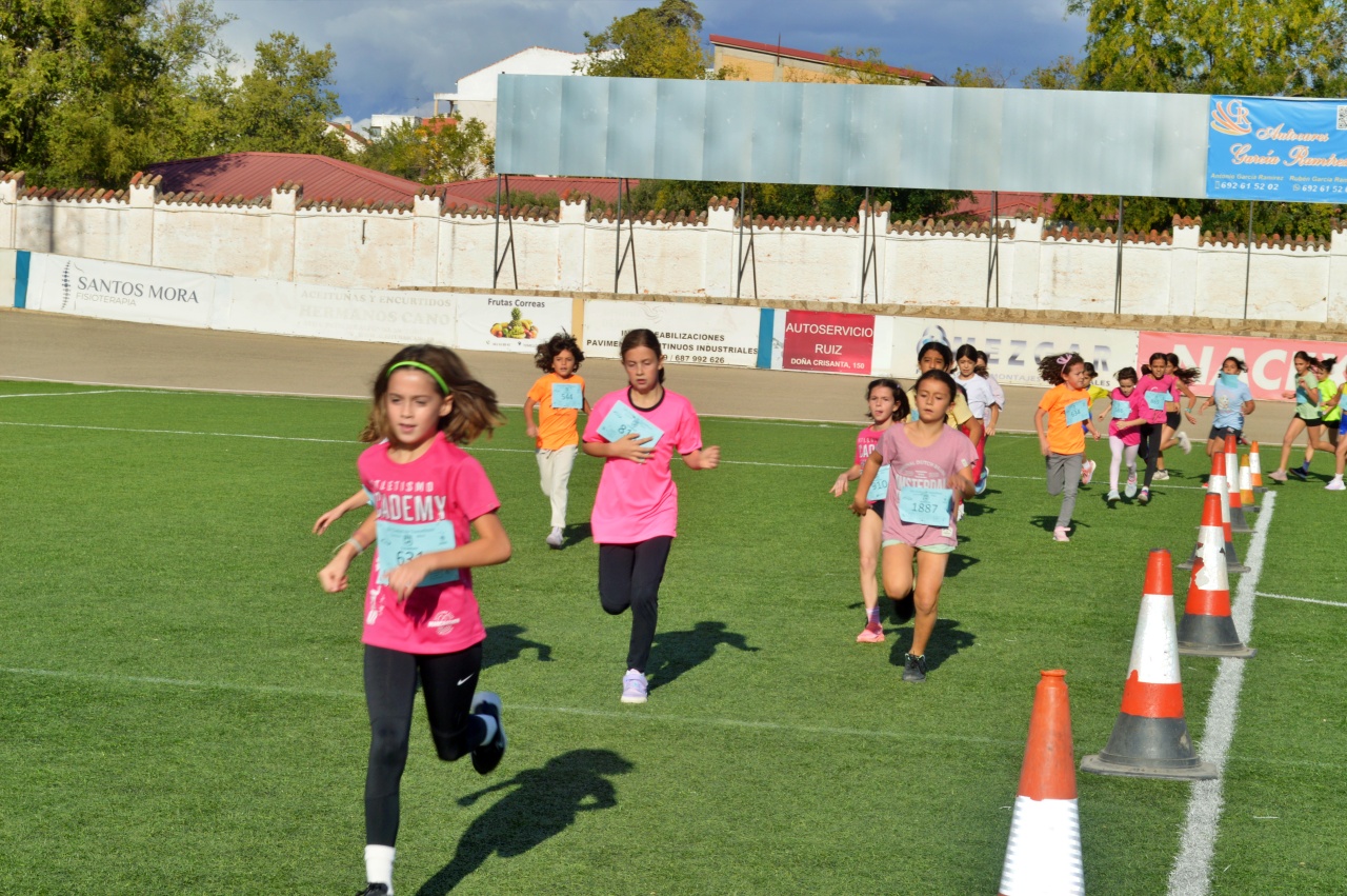 ob.imagen.Descripcion