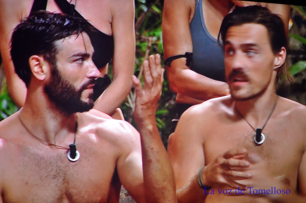 ob.imagen.Descripcion