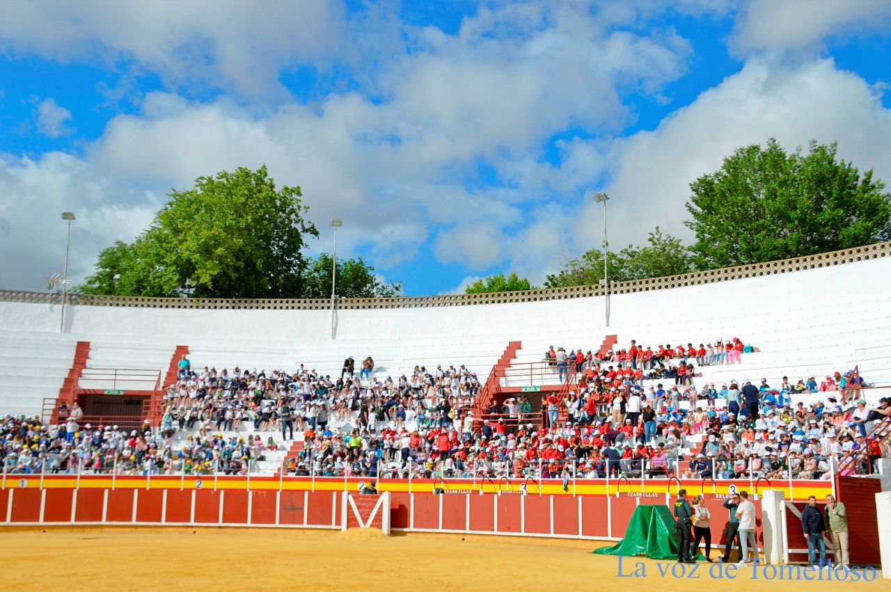 ob.imagen.Descripcion