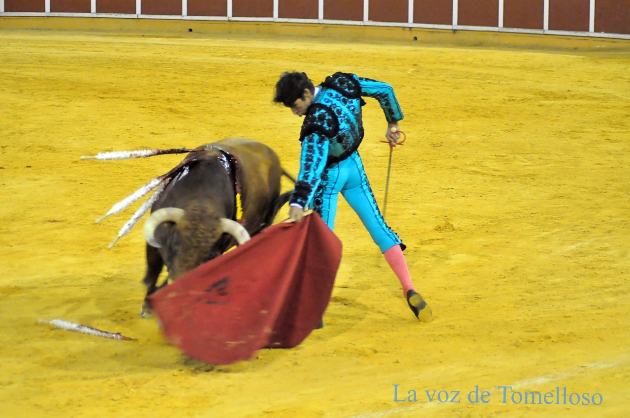 ob.imagen.Descripcion
