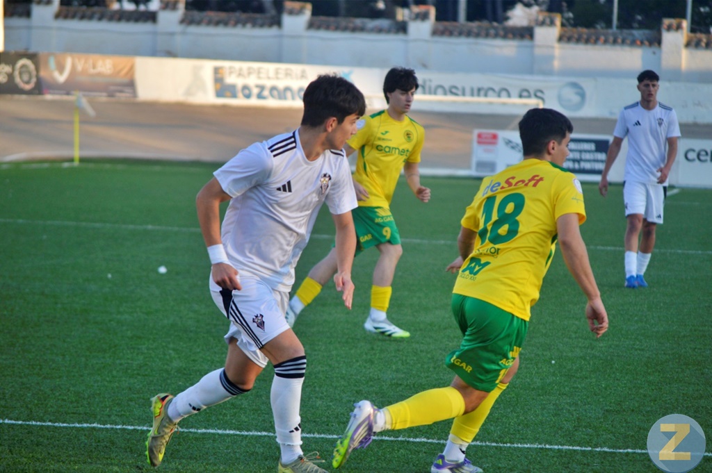 ob.imagen.Descripcion