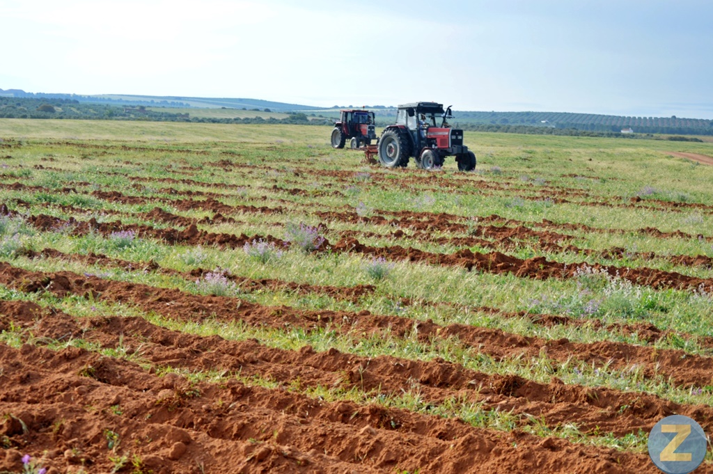 ob.imagen.Descripcion