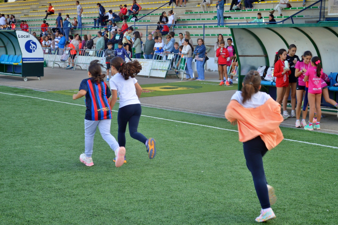 ob.imagen.Descripcion