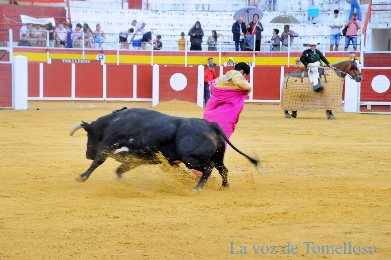 ob.imagen.Descripcion
