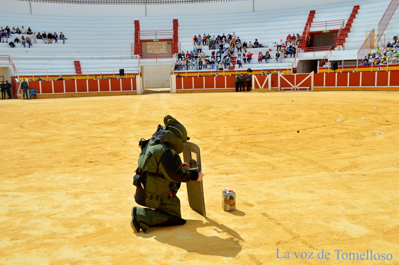 ob.imagen.Descripcion