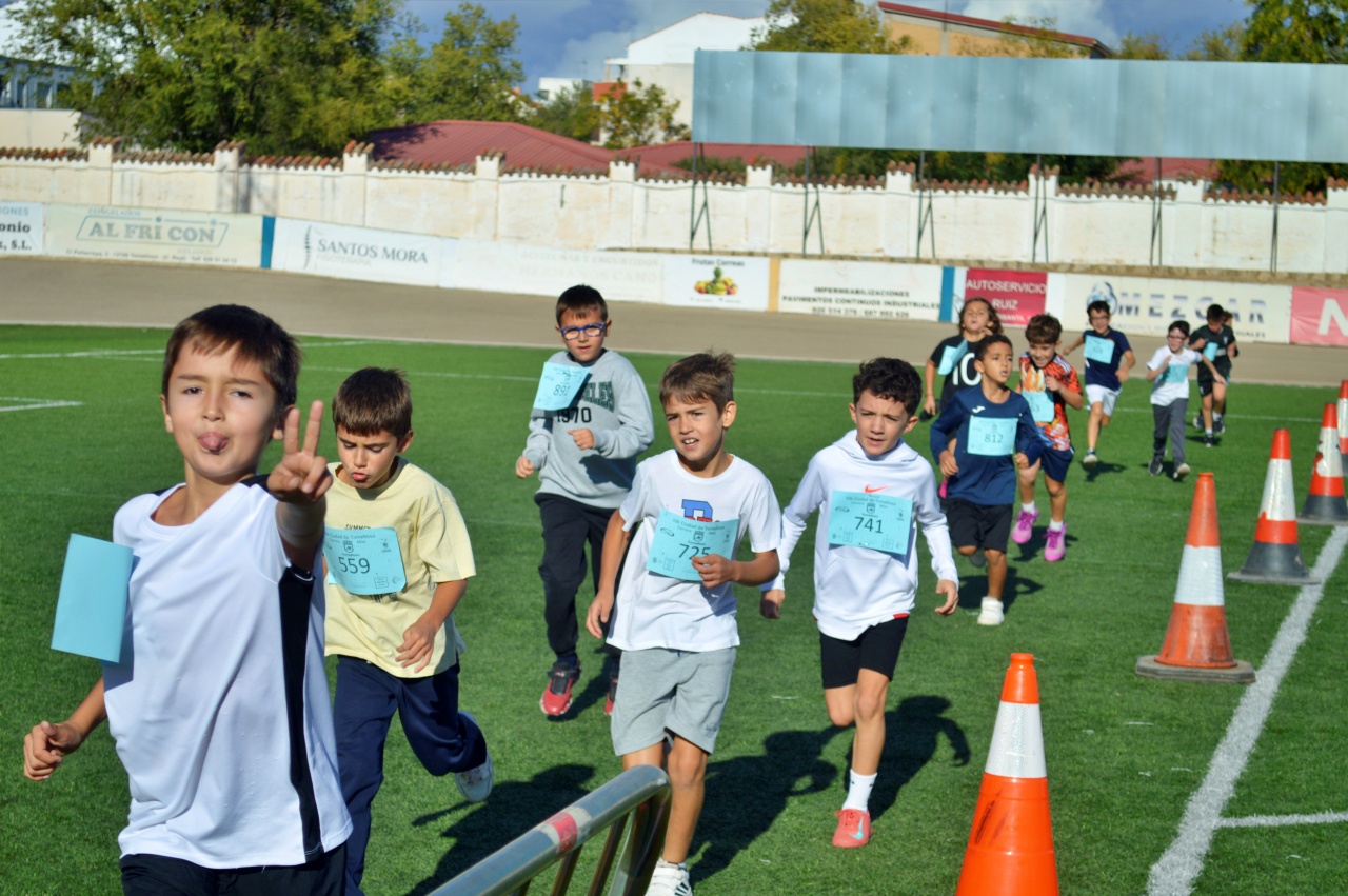 ob.imagen.Descripcion