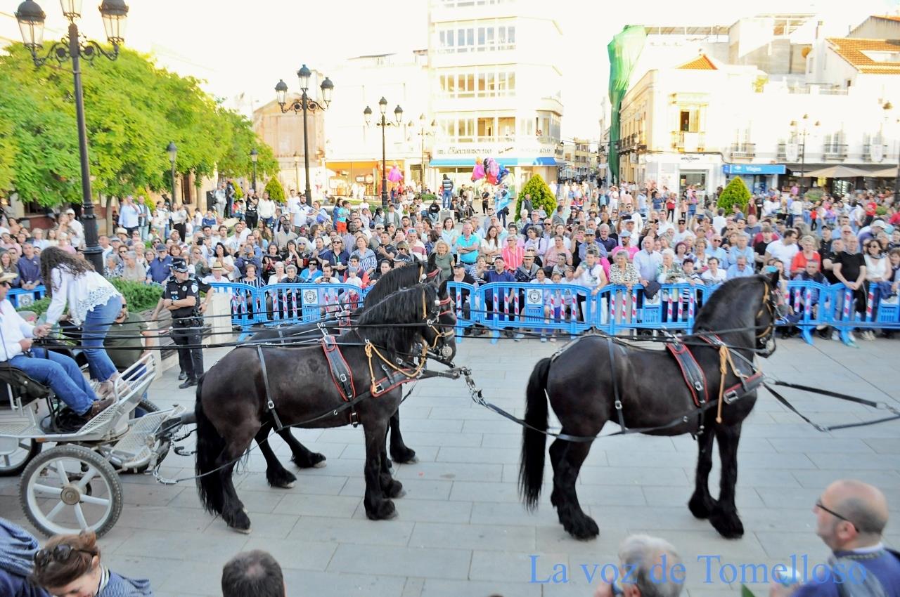 ob.imagen.Descripcion