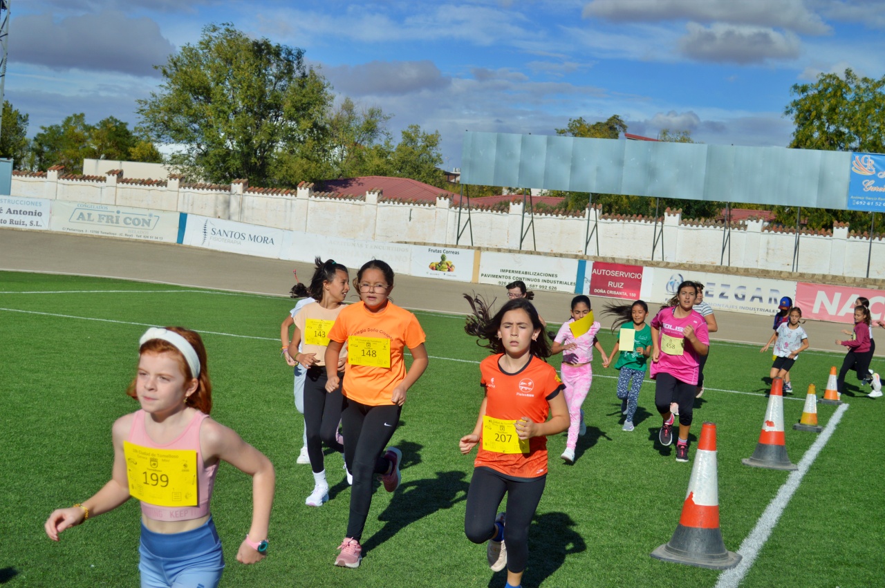 ob.imagen.Descripcion