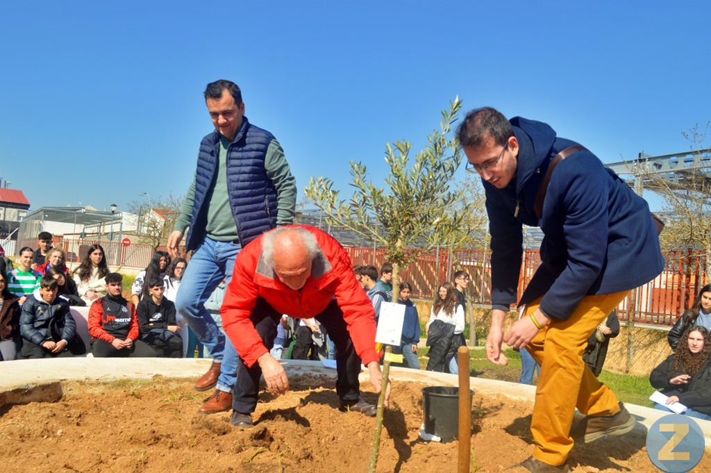 ob.imagen.Descripcion