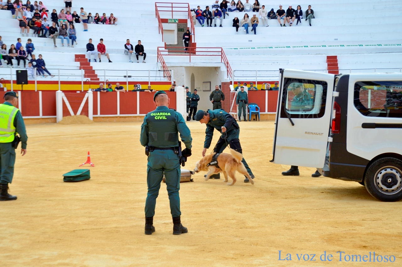 ob.imagen.Descripcion